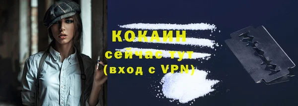 соль ск Алзамай