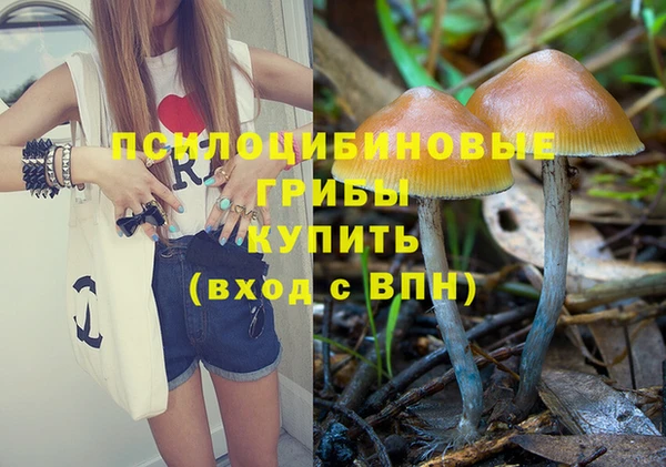 кокс Алексеевка