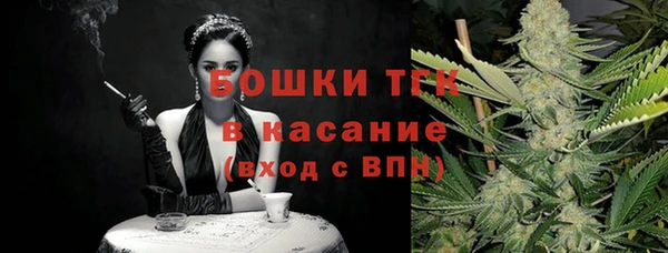 соль ск Алзамай
